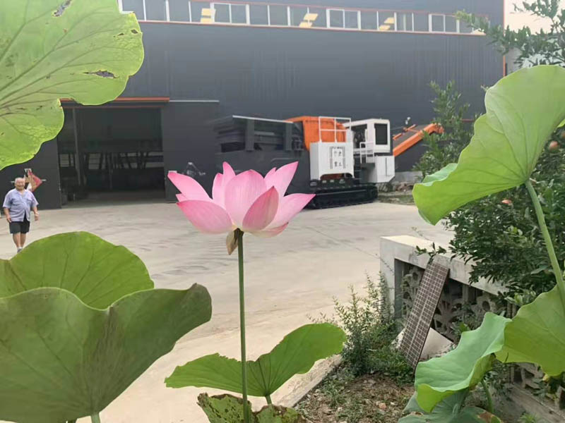 移动式黄瓜在线观看视频污站